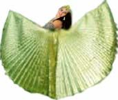 The beauty and magic of the veils