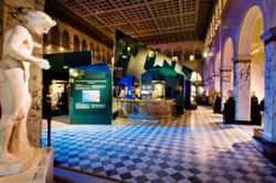 Medelhavsmuseets egyptiska samling 