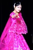 Indisk dansshow