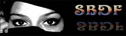 Stockholm Belly Dance Festival 2011