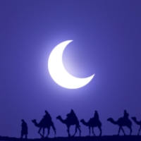 Orientalisk Knytkonferens