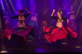 Vrldens Dansshow