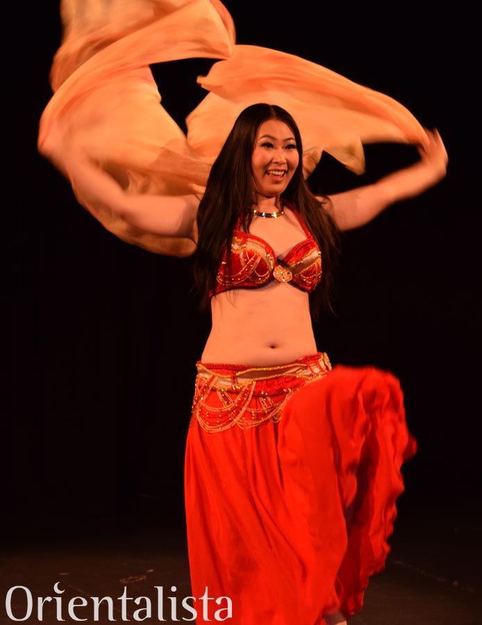 Cairo by Night 2015 Cairo by Night 2015